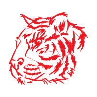 Drawing Animals Drawing Animals