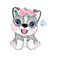 Drawing Animals Drawing Animals