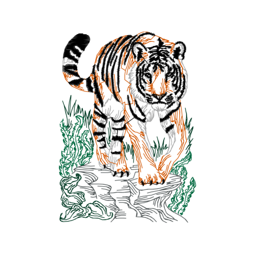 Drawing Animals Drawing Animals