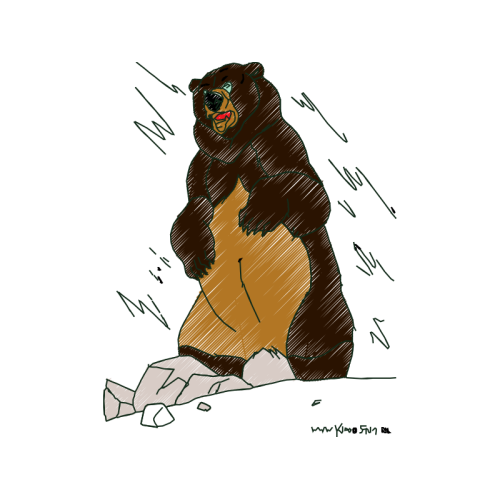 Drawing Animals Drawing Animals