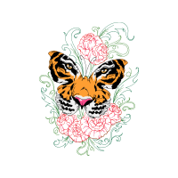 Drawing Animals Drawing Animals