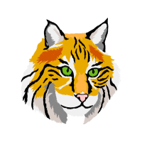 Friendship Elementary Animals Friendship Elementary Animals