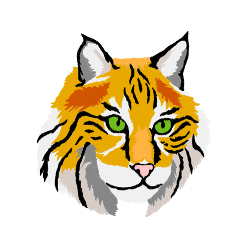 Friendship Elementary Animals Friendship Elementary Animals