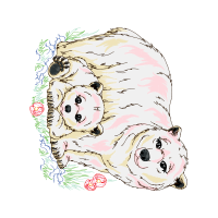 Golden Retriever Animals