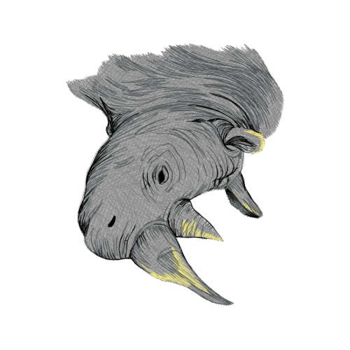 Greater Short Horned Lizard Animals Greater Short Horned Lizard Animals