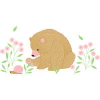 Grizzly Bear Animals Grizzly Bear Animals