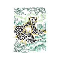 Grizzly Bear Animals Grizzly Bear Animals