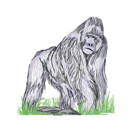 Grizzly Bear Animals Grizzly Bear Animals