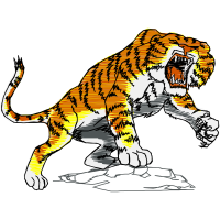 Illustration Animals