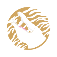 Illustration Animals Illustration Animals