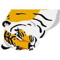 Illustration Animals