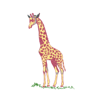 Illustration Animals Illustration Animals