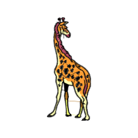 Illustration Animals