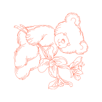 Illustration Animals