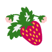 Illustration Animals