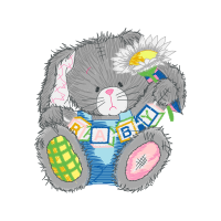 Illustration Animals