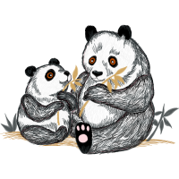 Illustration Animals