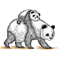 Illustration Animals