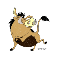 Illustration Animals