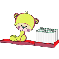 Illustration Animals