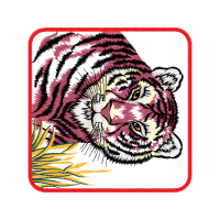 Illustration Animals Illustration Animals