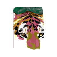 Illustration Animals Illustration Animals