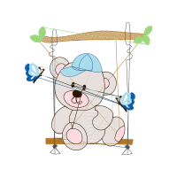 Illustration Animals