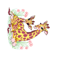 Illustration Animals