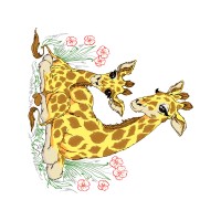 Illustration Animals