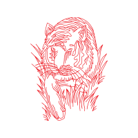 Illustration Animals