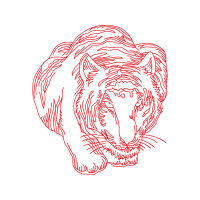 Illustration Animals