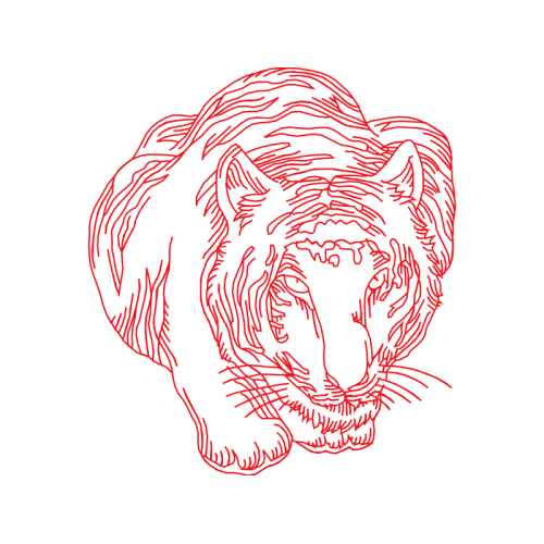 Illustration Animals Illustration Animals