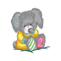 Indian Elephant Animals