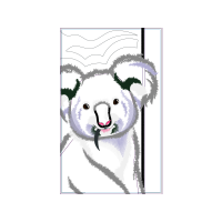 Koala Animals