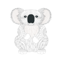 Koala Animals