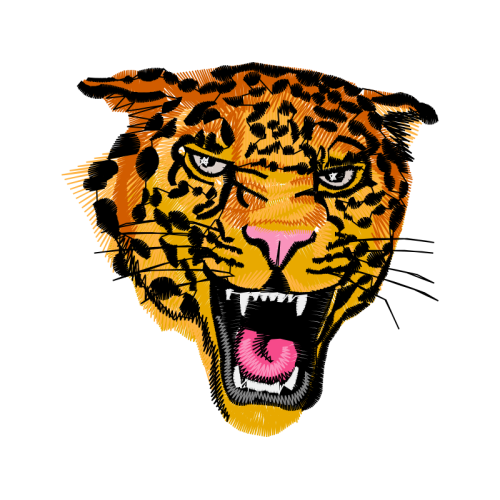 Lion Animals Lion Animals