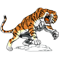 Lion Animals Lion Animals