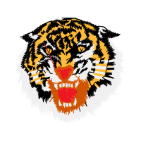 Lion Animals Lion Animals