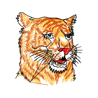 Lion Animals Lion Animals