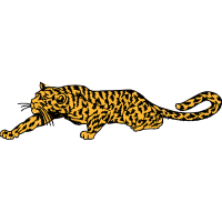 Lion Animals Lion Animals