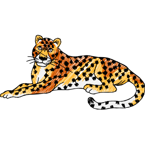 Lion Animals Lion Animals