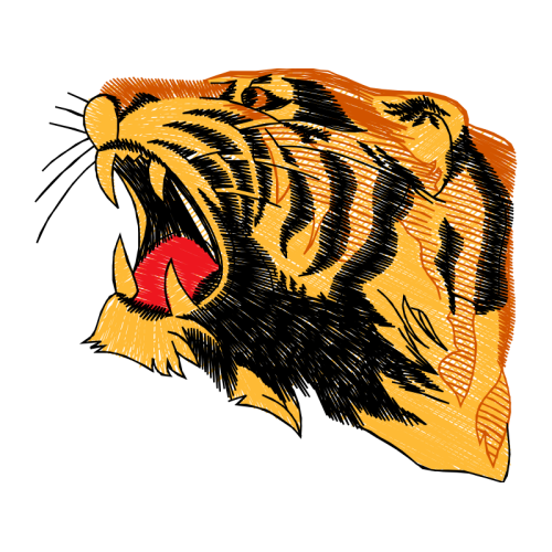 Lion Animals Lion Animals