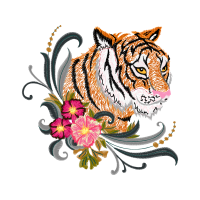 Lion Animals Lion Animals