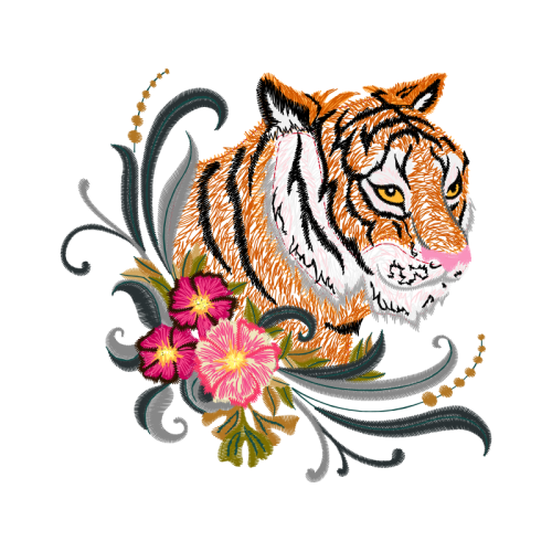 Lion Animals Lion Animals