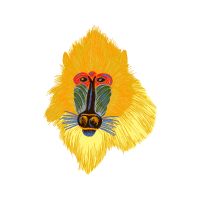 Lion Animals Lion Animals