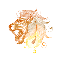 Lion Animals Lion Animals