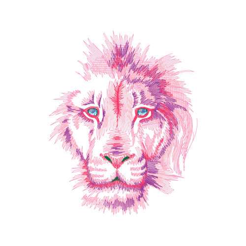 Lion Animals Lion Animals