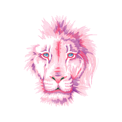 Lion Animals Lion Animals