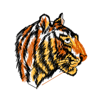 Lion Animals Lion Animals