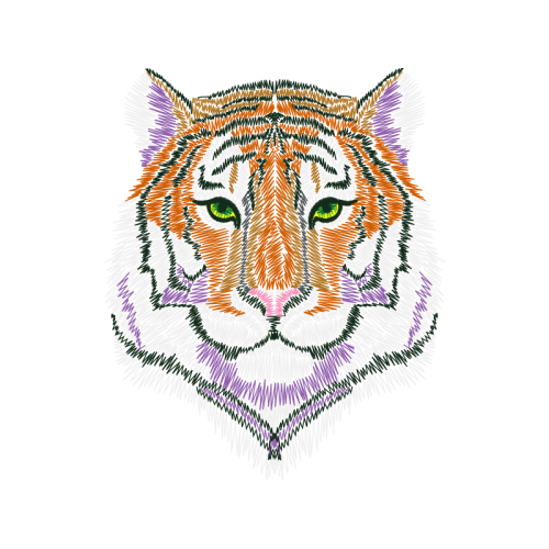 Lion Animals Lion Animals